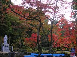 kyoto_saimyouji 011.jpg